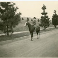 Helen Keller riding horseback on a pine tree-lined road.