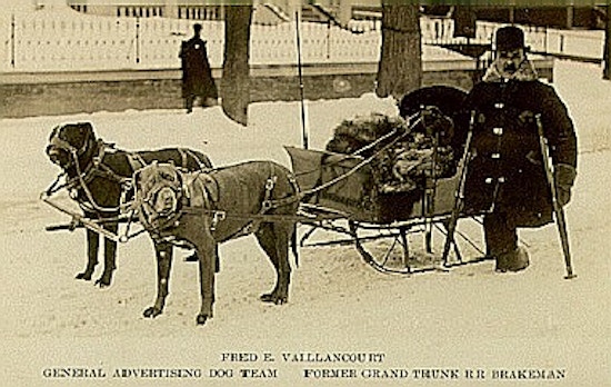 Photograph of Vaillancourt (who has one leg) standing in the snow, with cructhes, in front of a sleigh being drawn by two large muzzled dogs .