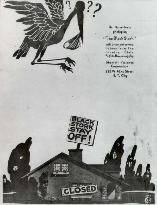 Water color of a black stork with a baby flying over a home with boarded up windows and a sign on the roof reading "Black Stork Stay Off"