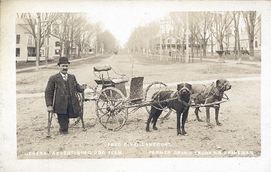 Fred Vaillancourt standing next to two dogs hitched to a wagon.