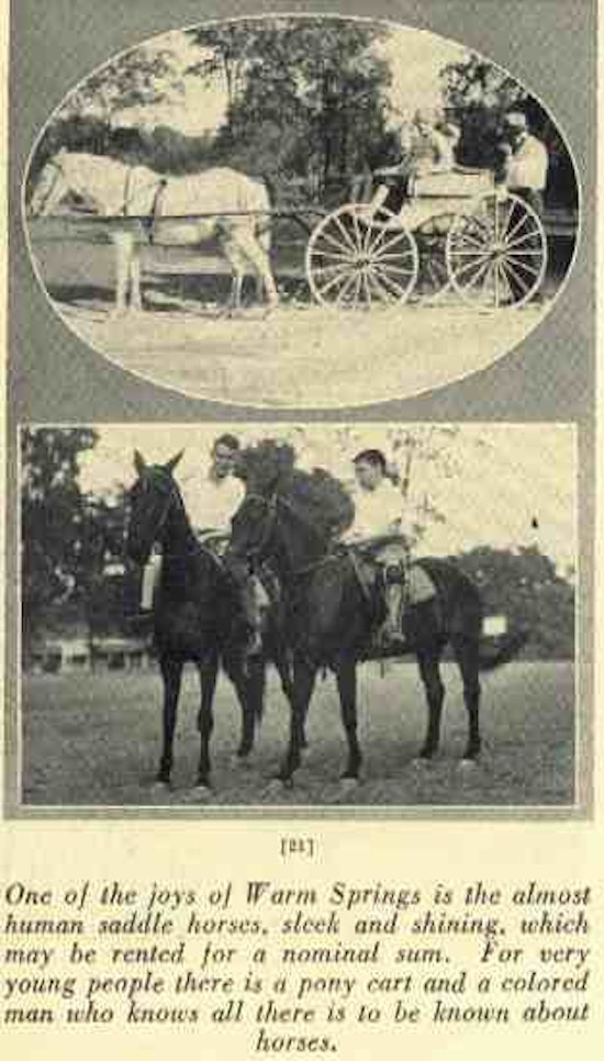 Two photographs -- one of a white horse pulling a wagon, the other of two young men on horseback.