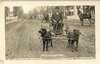 A man in a wagon is pulled by two dogs along a dirt street.