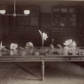 Table covered with tactile models of fruits and flowers for a botany lesson at Perkins Institution and Massachusetts School for the Blind, South Boston.