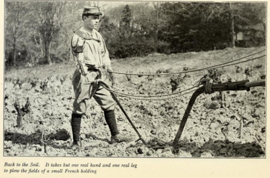 Man with prosthetic arm holds reins in a field plowing.