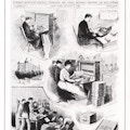 Cover of Scientific American magazine, showing men and women working on census data using Hollerith Tabulator and its punch cards.