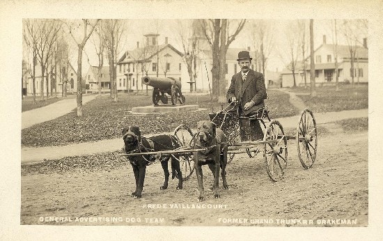 Two dogs pull a man on a wagon. A cannon is in the background.