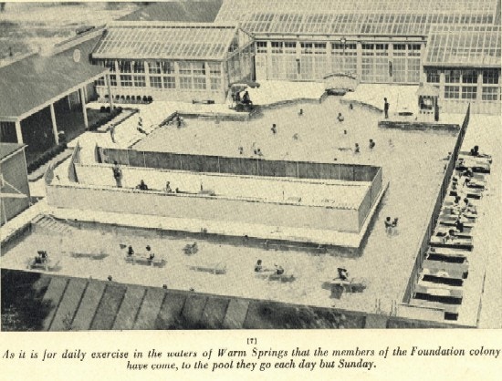 An view of a large swimming pool with people both swimming and sunning.