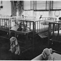 A row of hospital beds with stuffed animals and dolls.